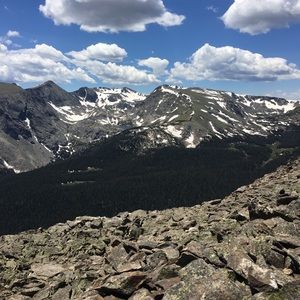 Meet your Posher, Alex